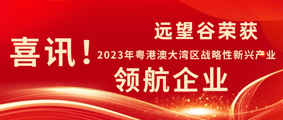 新年迎喜讯 | 赢咖娱乐荣获2023年粤港澳大湾区战略性新兴产业“领航企业”！